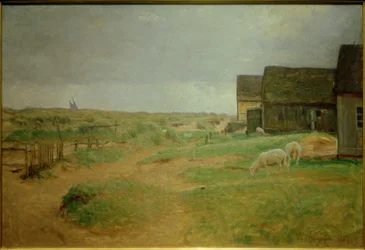 Vieilles maisons à Skagen